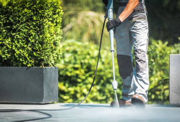 Best Sidewalk and Walkway Cleaning  in Belgium, WI
